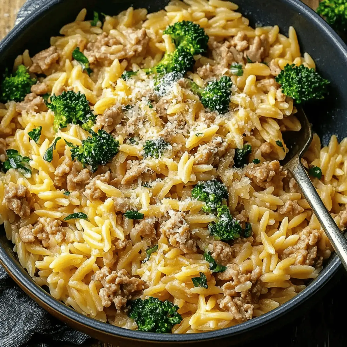 Ground Turkey Orzo